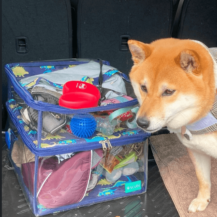 Scubl Storage Box for Pet Owners